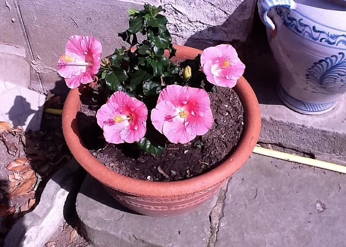 Du Canal ベッド・アンド・ブレックファスト