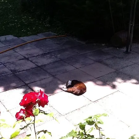 Oda ve Kahvaltı Du Canal