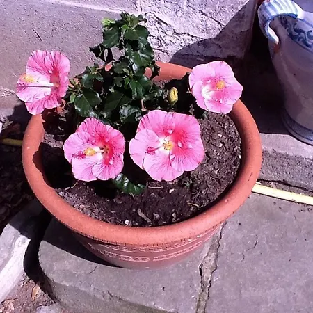 Du Canal Bed & Breakfast