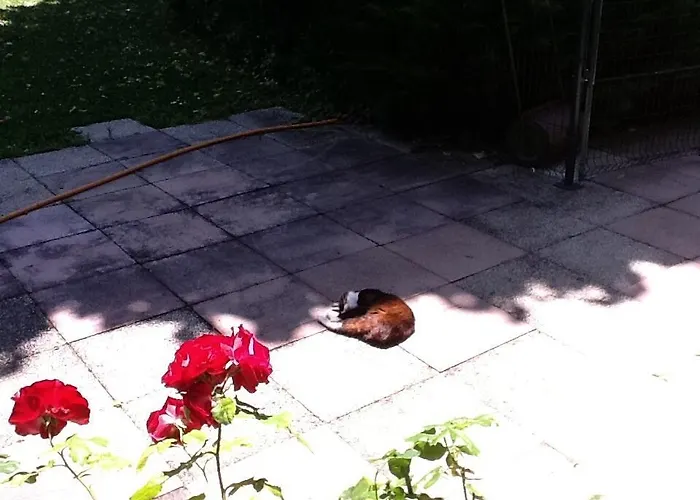 Bed & Breakfast Du Canal